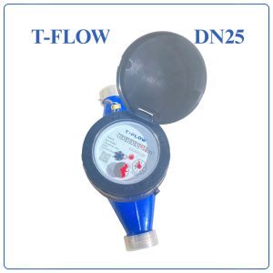 Đồng hồ nước T FLOW DN25