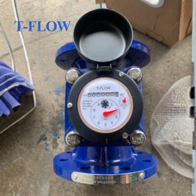 Đồng hồ nước sạch T FLOW DN200