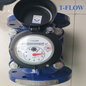 Đồng hồ nước sạch T FLOW DN250