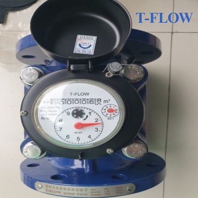Đồng hồ nước sạch T FLOW DN250