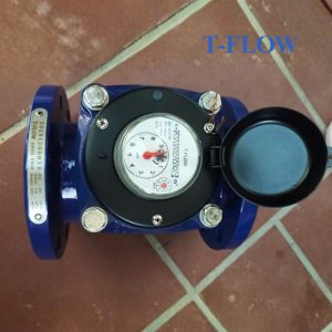 Đồng hồ nước sạch T FLOW DN50