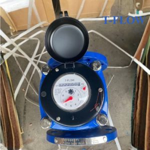 Đồng hồ nước sạch T FLOW DN65
