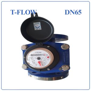 Đồng hồ nước sạch TFLOW DN65