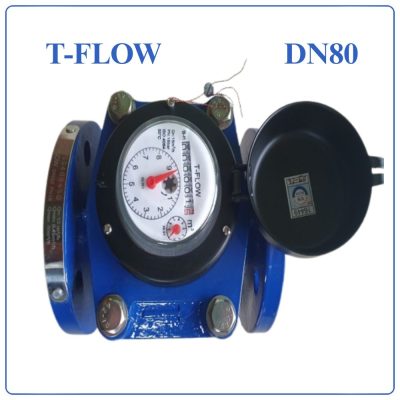 Đồng hồ nước sạch TFLOW DN80