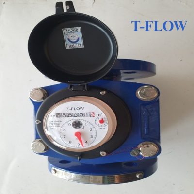 Đồng hồ nước thải T FLOW DN125