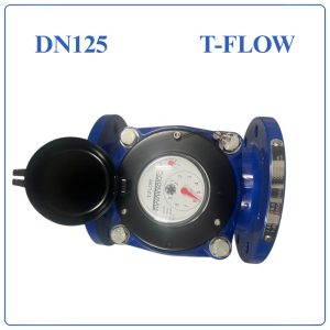 Đồng hồ nước thải T FLOW DN125