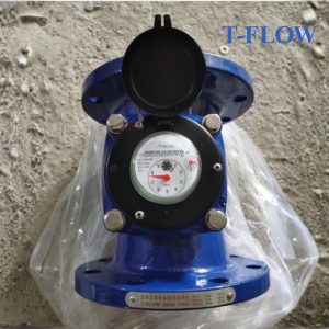 Đồng hồ nước thải T FLOW DN300