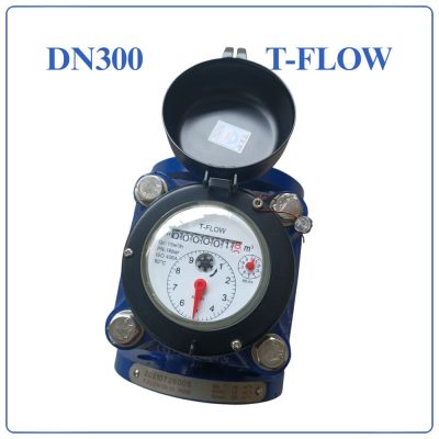 Đồng hồ nước thải T FLOW DN300