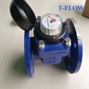 Đồng hồ nước thải T FLOW DN65