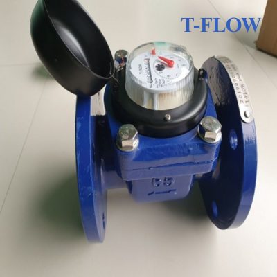 Đồng hồ nước thải T FLOW DN65