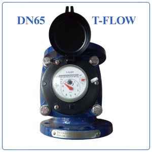Đồng hồ nước thải T FLOW DN65