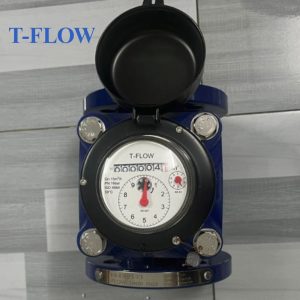 Đồng hồ nước thải T FLOW DN80